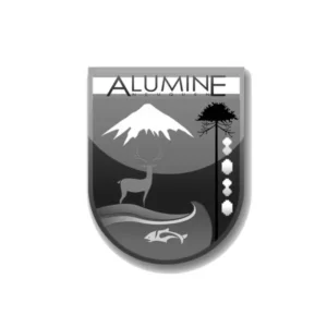 alumine copy